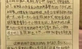 关于国庆见闻的一篇日记了3OO字